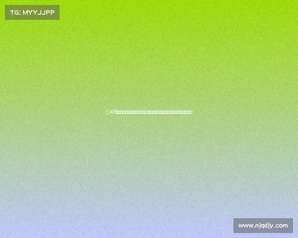 CAP赛事年度盛典挑战无限可能摄影师们用独特视角记录飞行魅力共创未来 CAP赛事年度盛典挑战无限可能摄影师们用独特视角记录飞行魅力共创未来